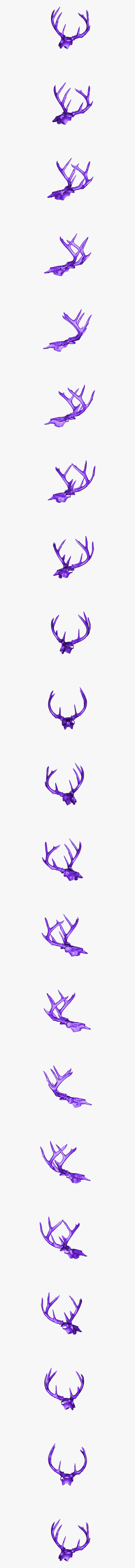 Reindeer, HD Png Download, Free Download