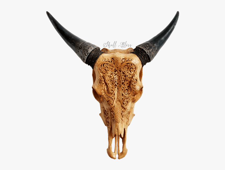 Carved Deer Skull, HD Png Download, Free Download