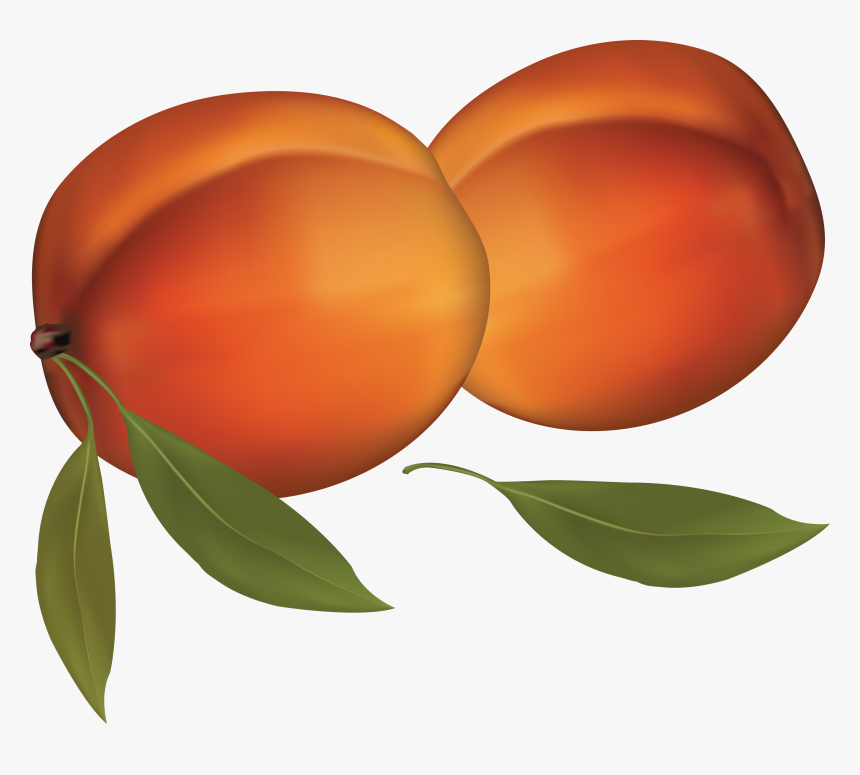 Peaches Png Image - Peaches Clipart Transparent Background, Png Download, Free Download