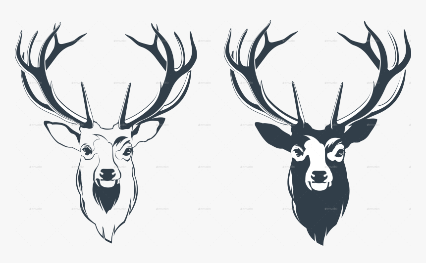 Male Red Deer Head By Sabina S Graphicriver - Deer Head Vector Png, Transparent Png, Free Download