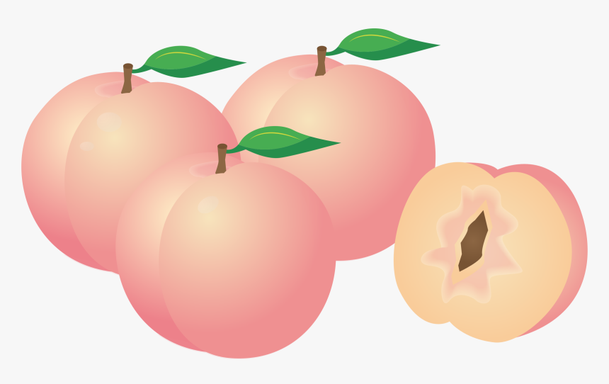 Plant,apple,peach - Peach Clip Art, HD Png Download, Free Download