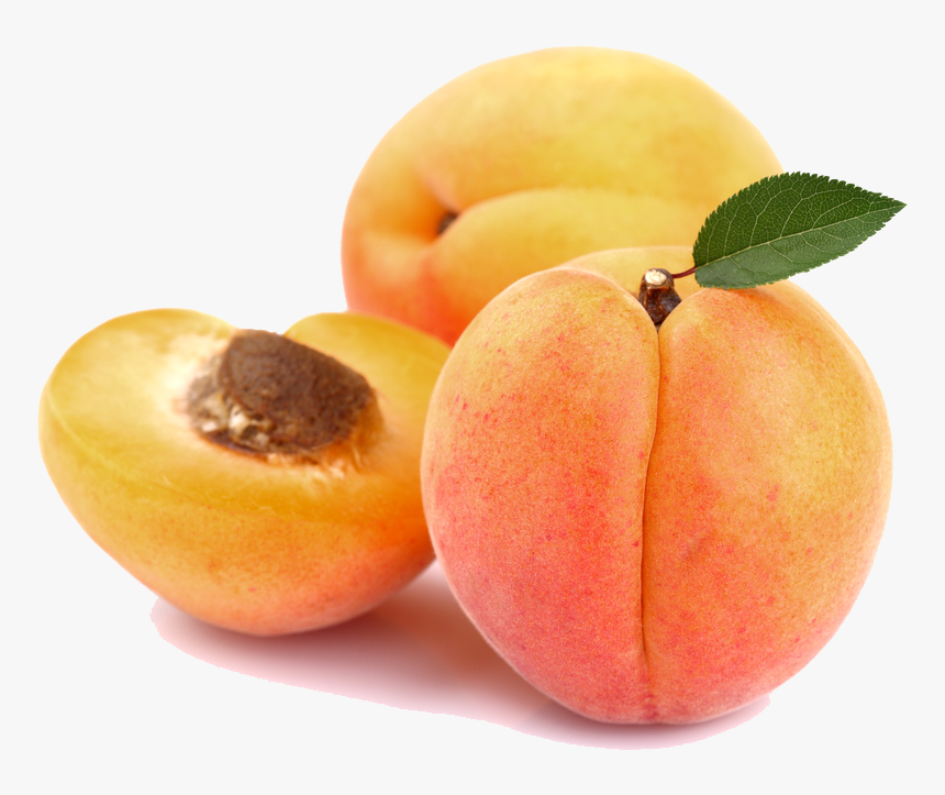 Apricot Png, Transparent Png, Free Download