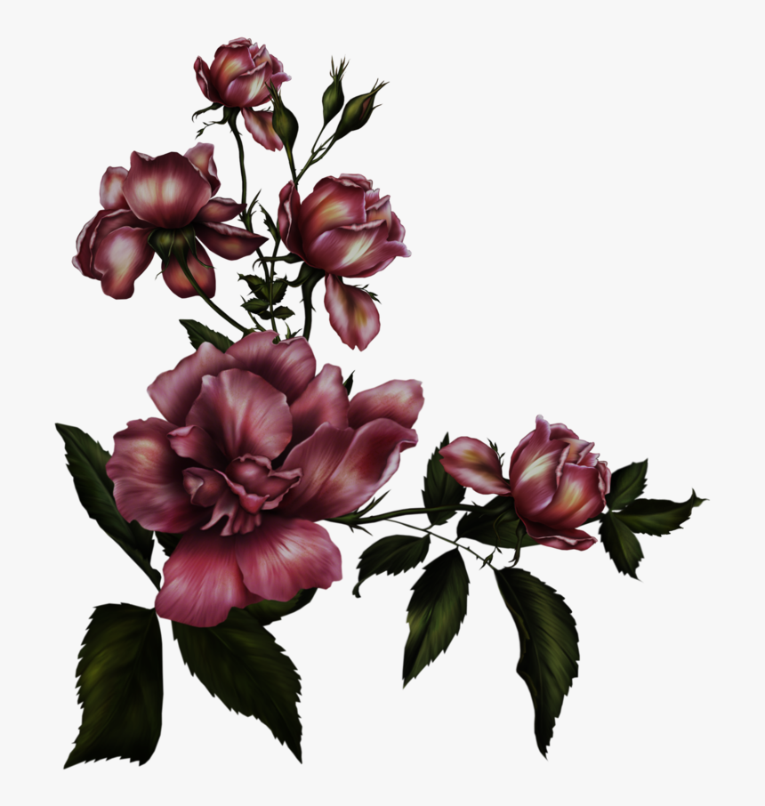 Rose Png Images Transparent Free Download - Transparent Background Gothic Roses, Png Download, Free Download