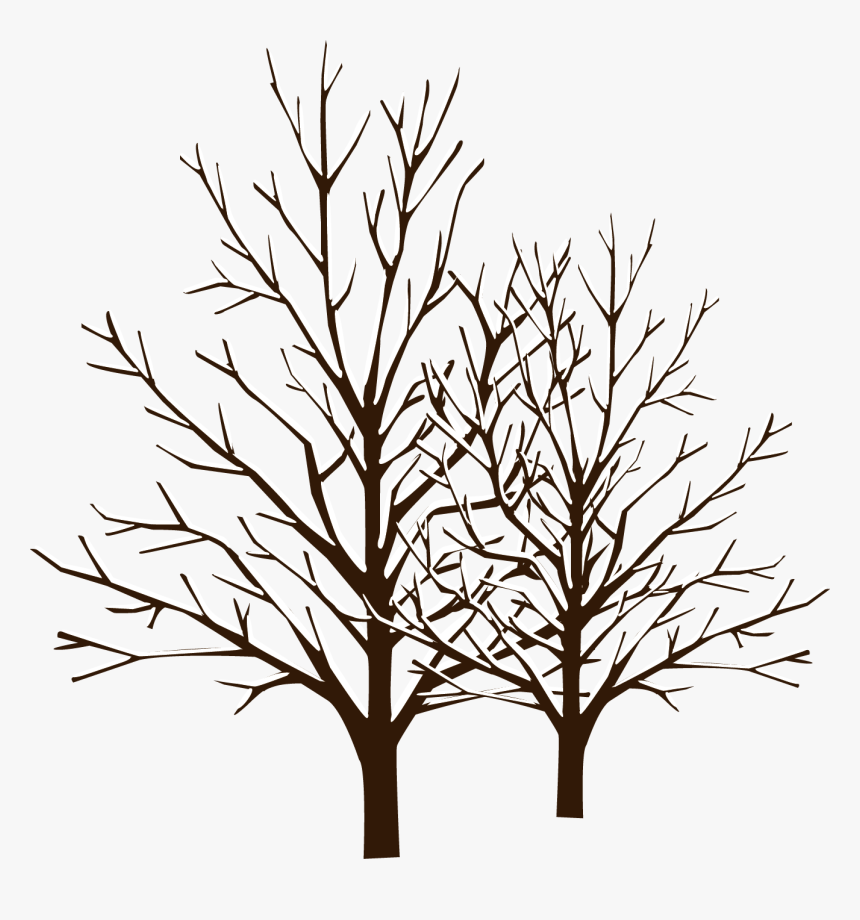 Snow Winter Tree - Winter Tree Vector Png, Transparent Png, Free Download