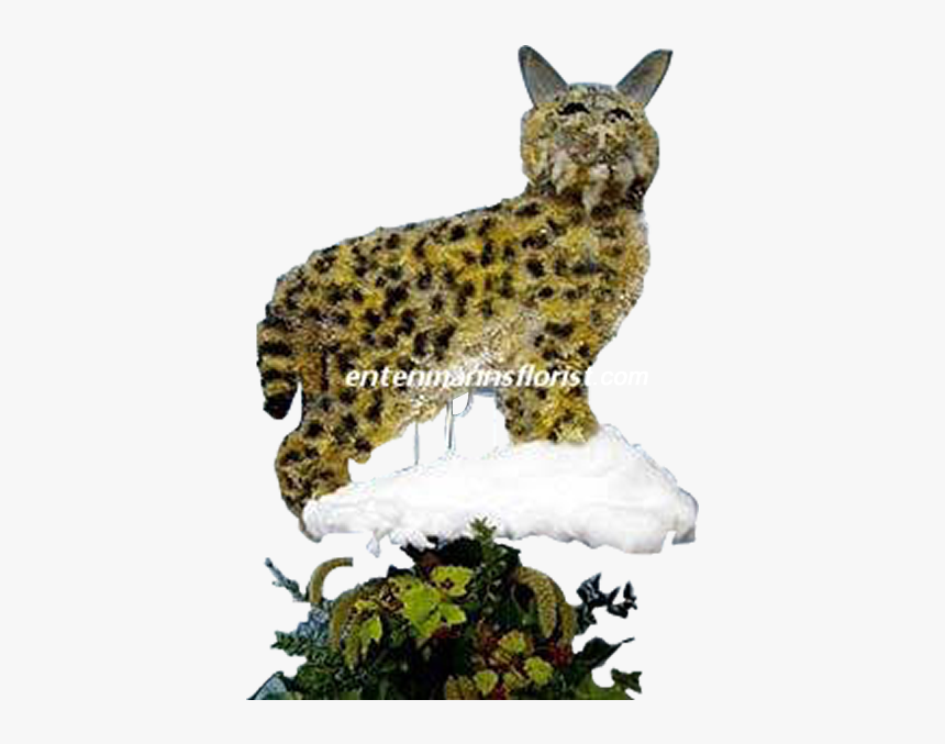 Bobcat Png, Transparent Png, Free Download