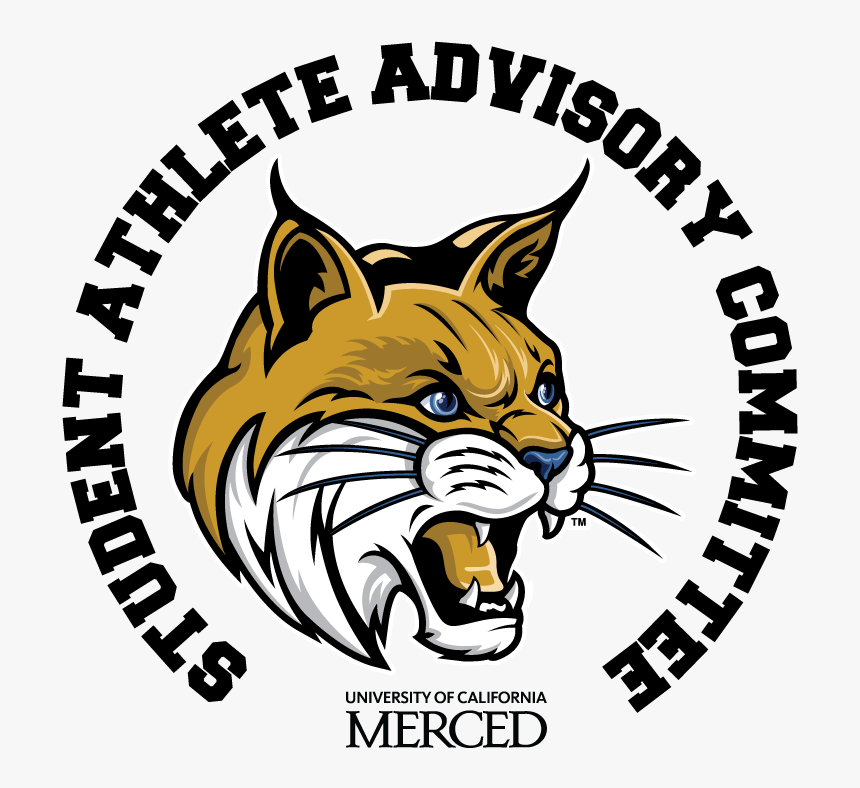 Banner Library Library Bobcat Clipart Uc Merced - Bobcat Uc Merced Logo, HD Png Download, Free Download