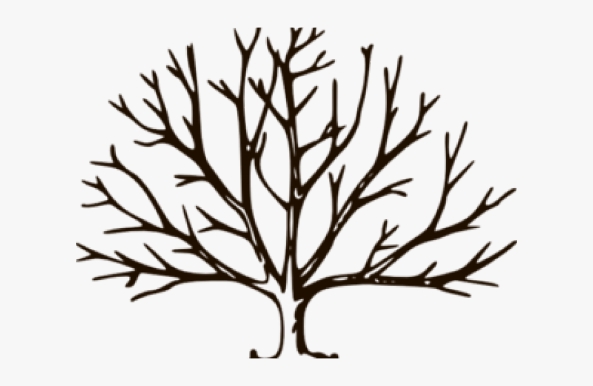 Transparent Branch Clipart Black And White - Fall Tree Clipart, HD Png Download, Free Download