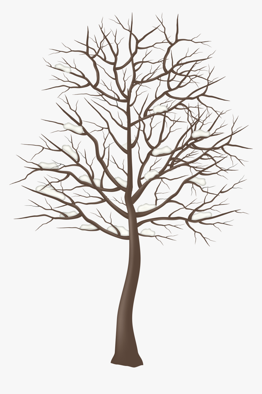 Transparent Winter Trees Clipart - Tree Clipart Transparent Background, HD Png Download, Free Download