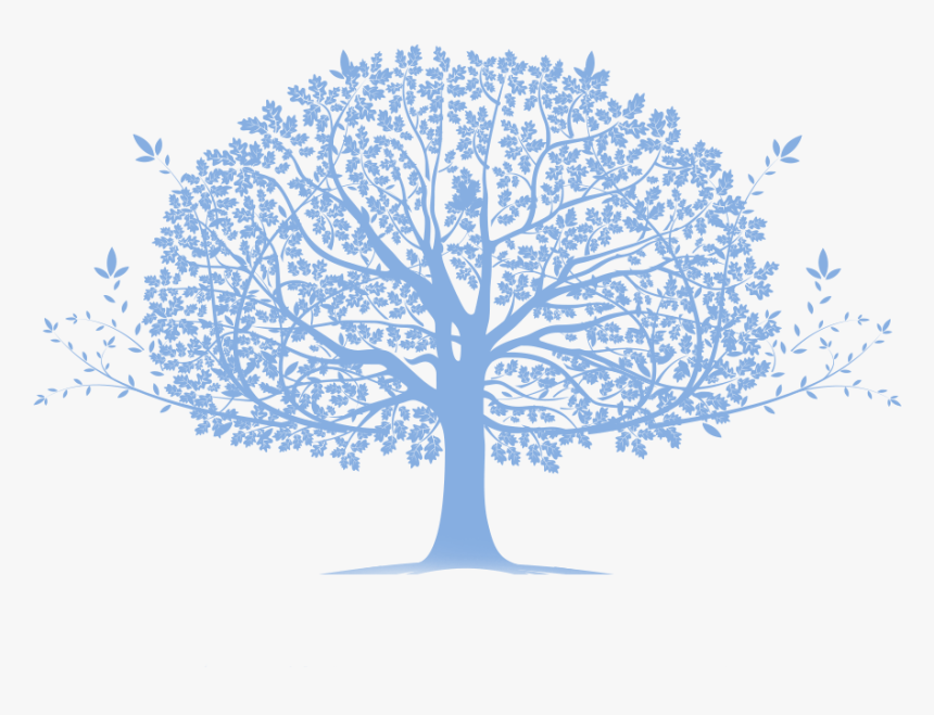 Family Tree Png - Blue Family Tree Png, Transparent Png, Free Download