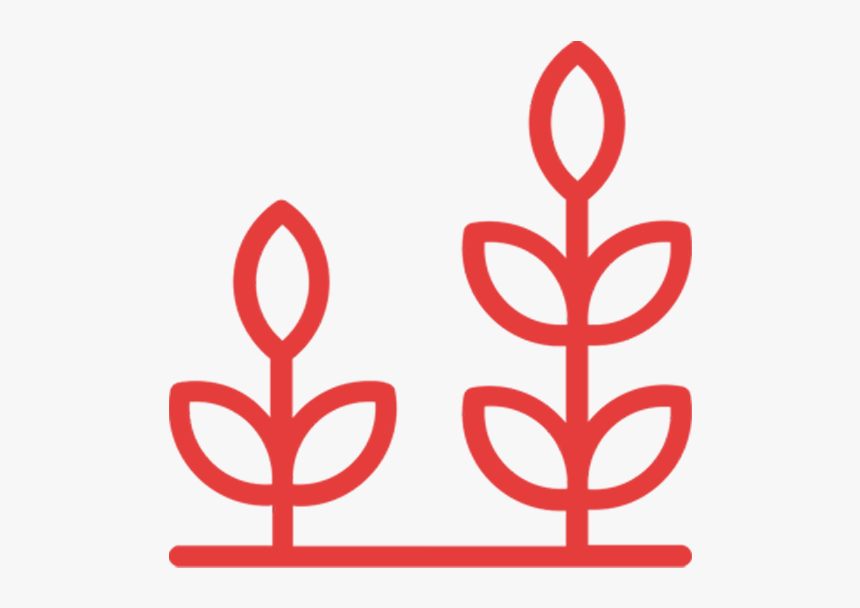 Plant Growth Icon Black, HD Png Download, Free Download