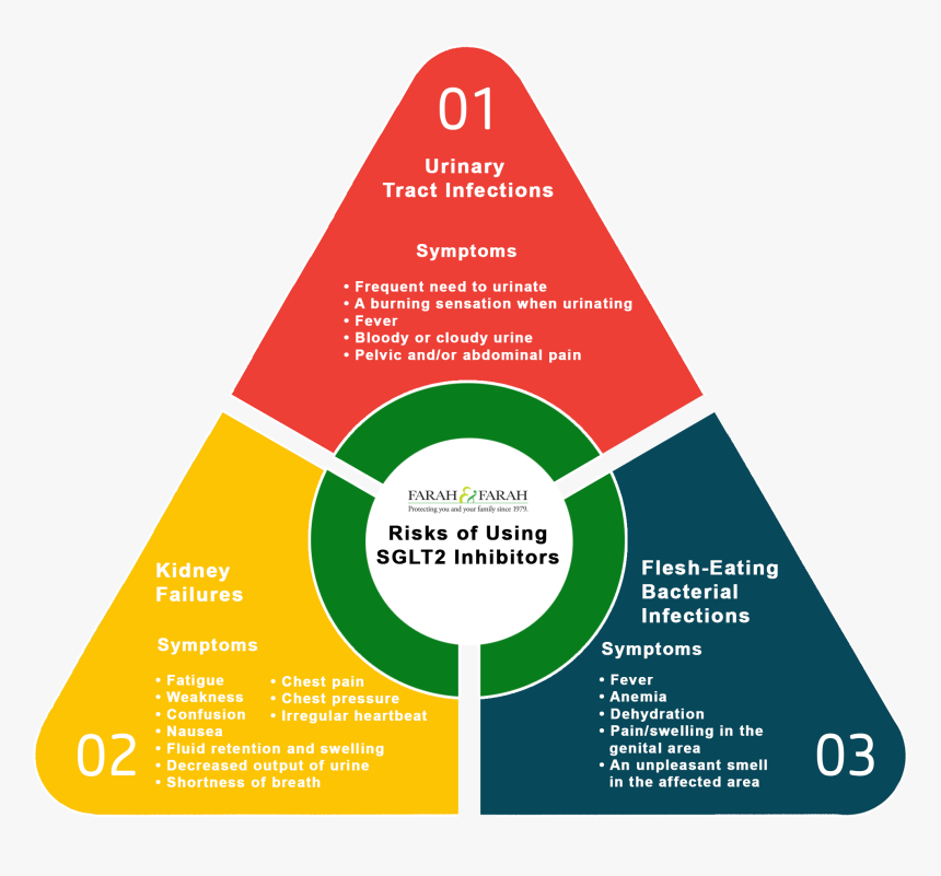 Risks Of Sglt2 Inhibitors - Life Of A Real Estate Project, HD Png Download, Free Download