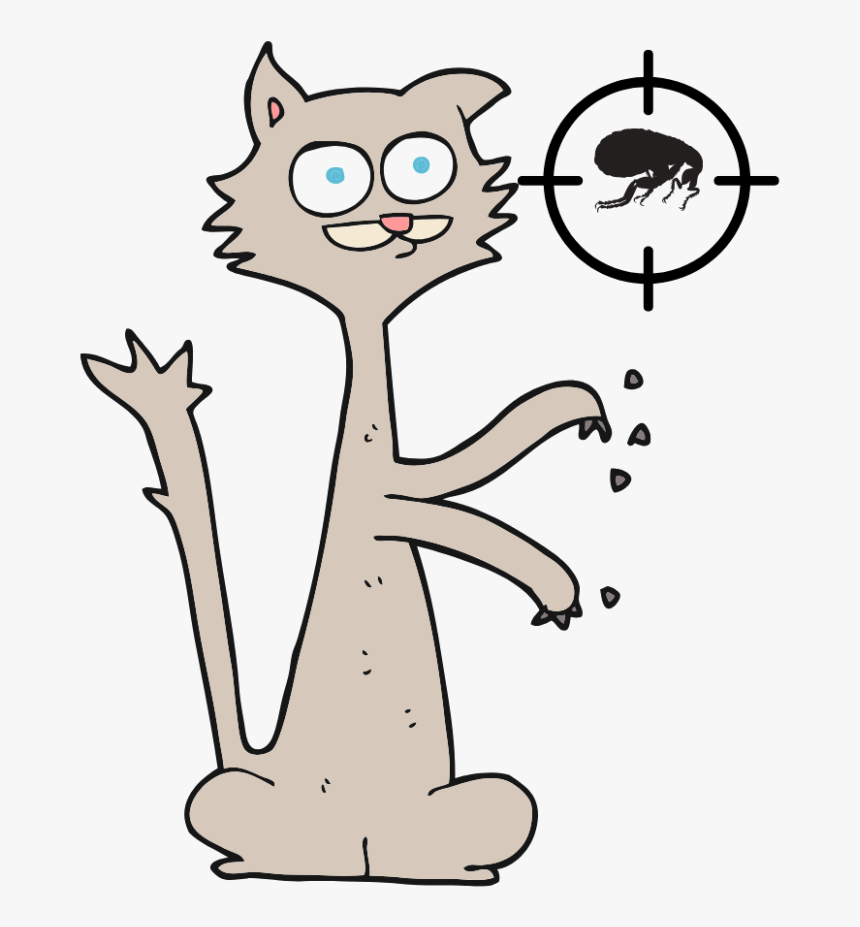 Cat Graduation Cartoon, HD Png Download, Free Download