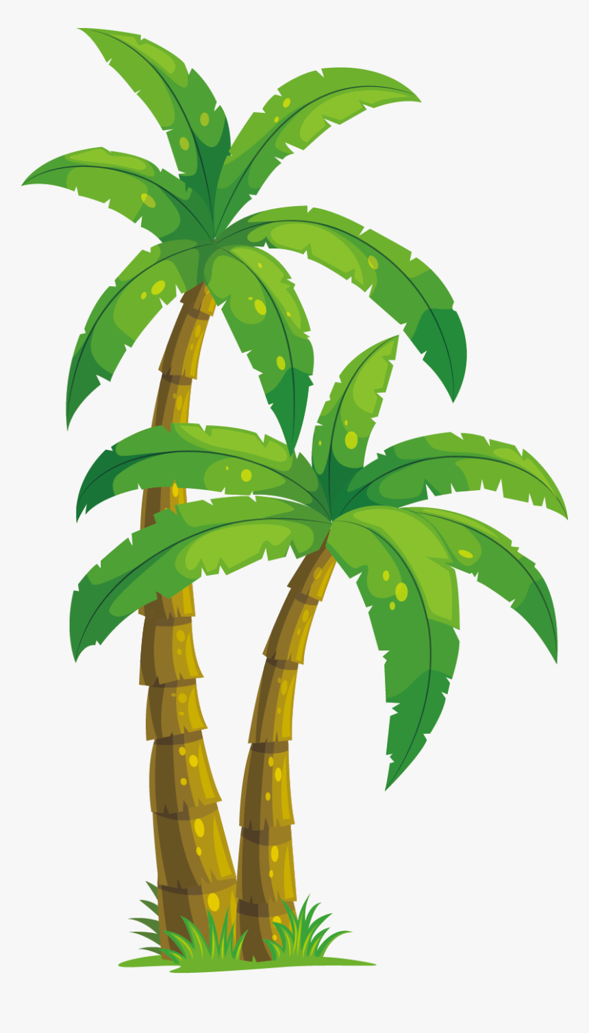 Arecaceae Coconut Tree Illustration - Palm Tree Icon Transparent, HD Png Download, Free Download