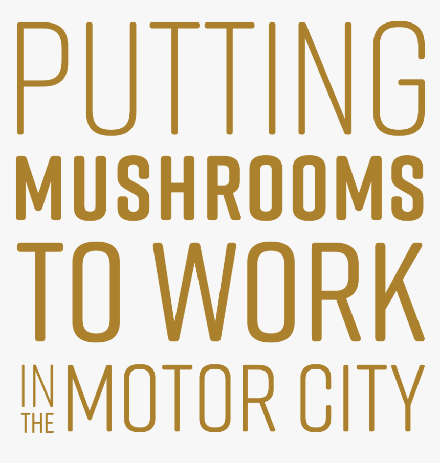 Tmf Putting Mushrooms To Work Yellow Xl - Beige, HD Png Download, Free Download
