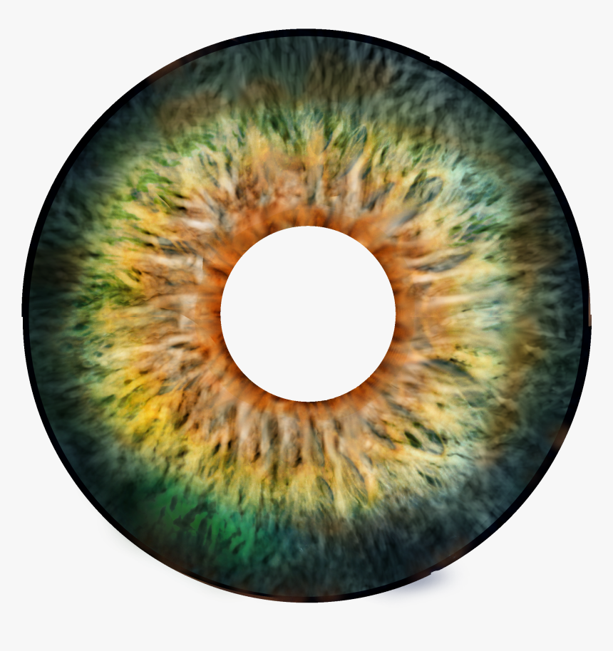 Transparent Eyeball Clipart Png - Circle, Png Download, Free Download