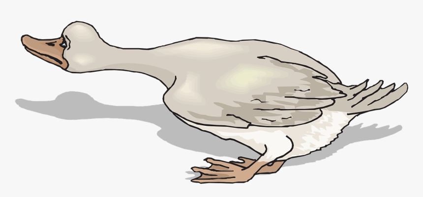 Scared Duck Clipart, HD Png Download, Free Download