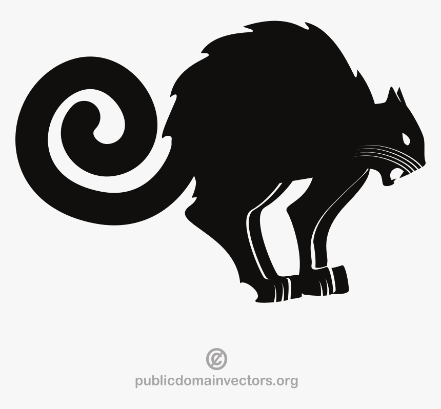 Scared Cat - Public Domain, HD Png Download, Free Download