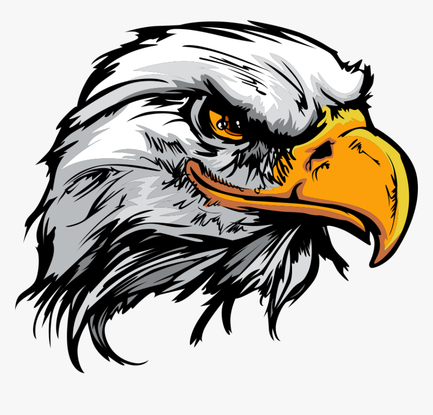 Bald Eagle Logo - Eagle Head Png, Transparent Png, Free Download
