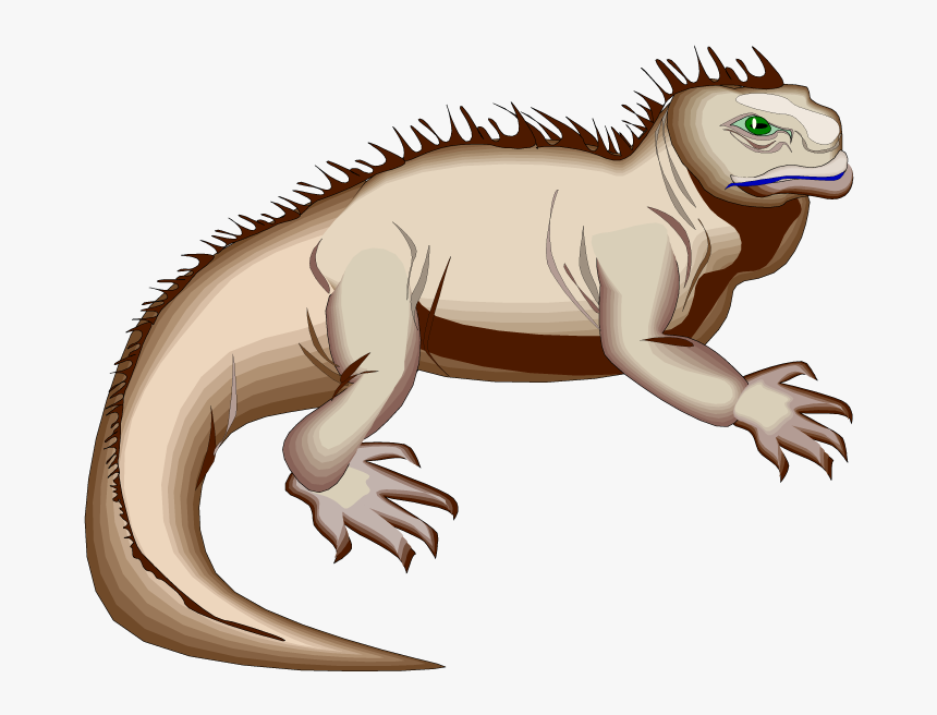 Green Iguana Clipart Hole - Marine Iguana Clip Art, HD Png Download, Free Download