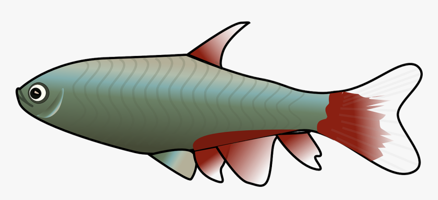 Mosquito Fish Clipart, HD Png Download, Free Download