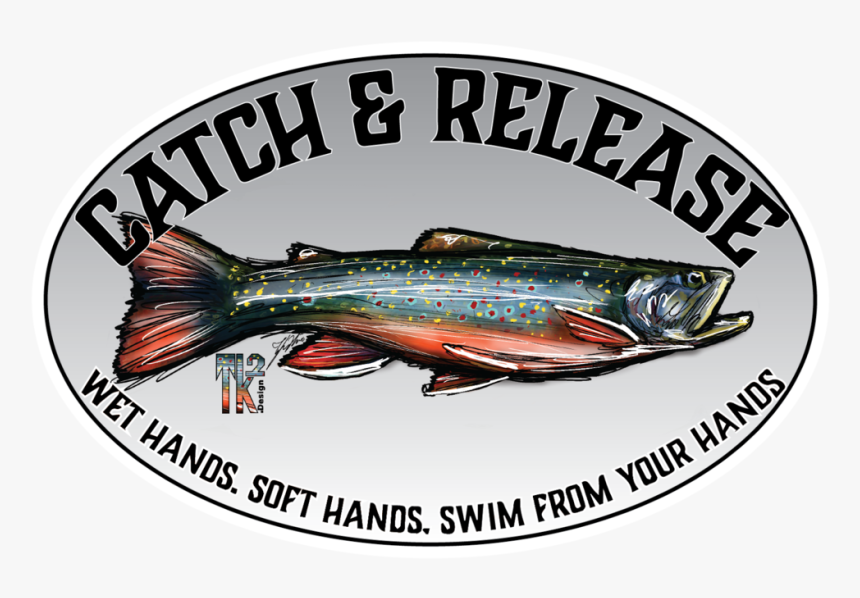 Catch And Release - Trout, HD Png Download, Free Download