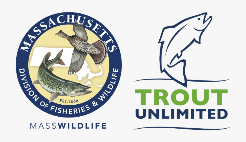 Trout Unlimited, HD Png Download, Free Download