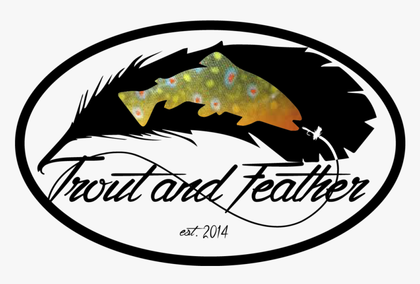 Trout And Feather, HD Png Download, Free Download