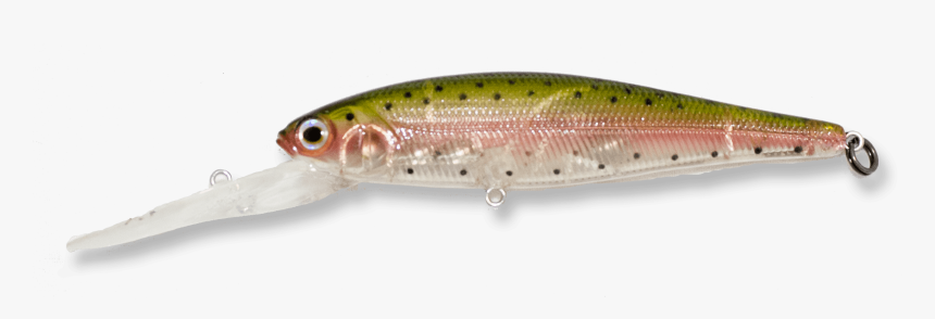Coastal Cutthroat Trout, HD Png Download, Free Download