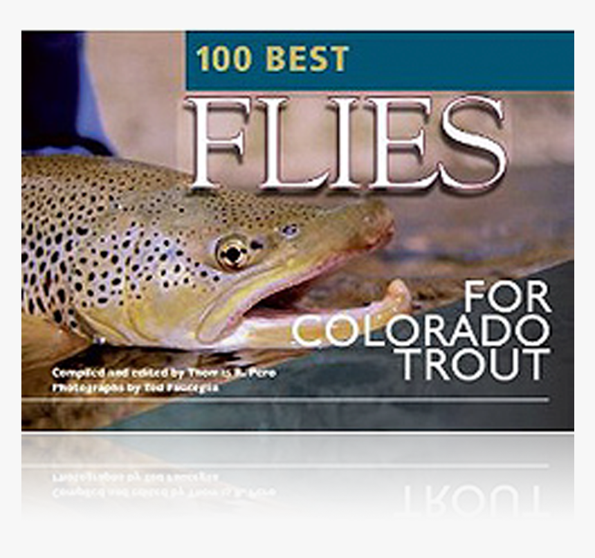 Trout, HD Png Download, Free Download