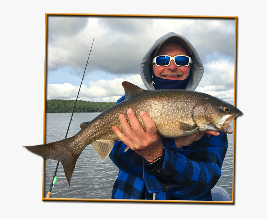 Lake Trout - Jigging, HD Png Download, Free Download