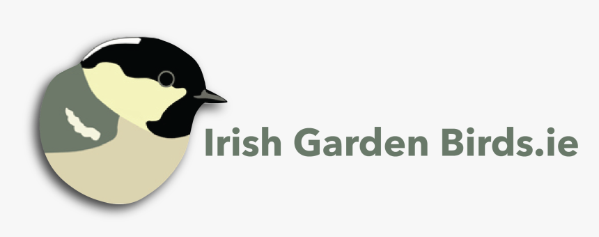 Irish Garden Birds - Iste 2015, HD Png Download, Free Download