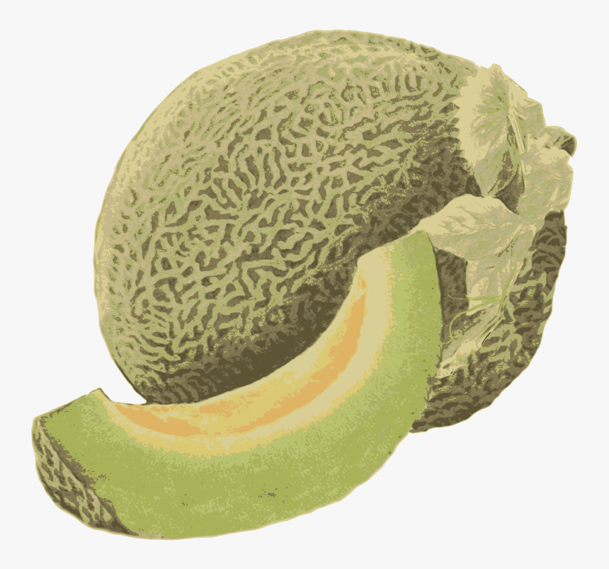 Honeydew Melon - Honeydew, HD Png Download, Free Download