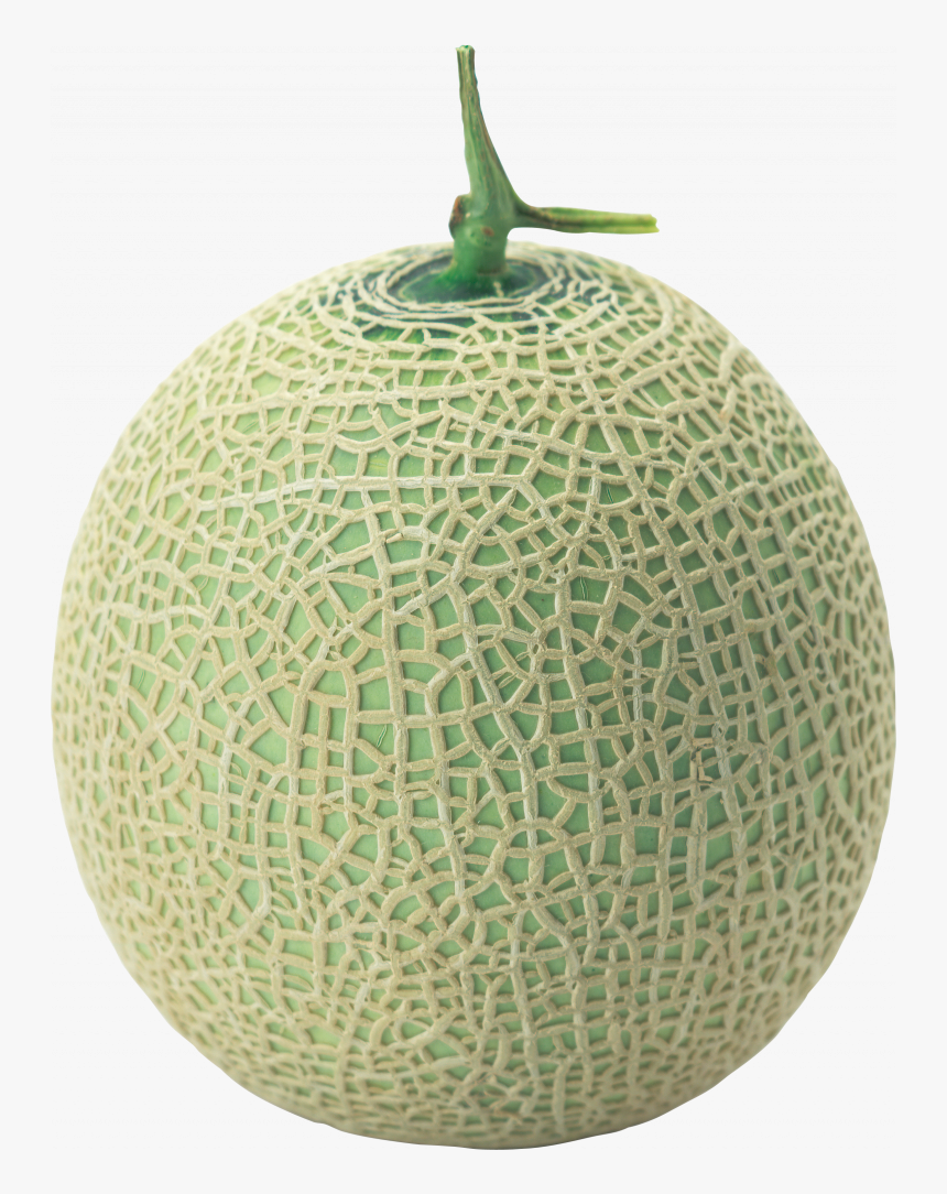 Download And Use Melon Png Image - Melon Png, Transparent Png, Free Download