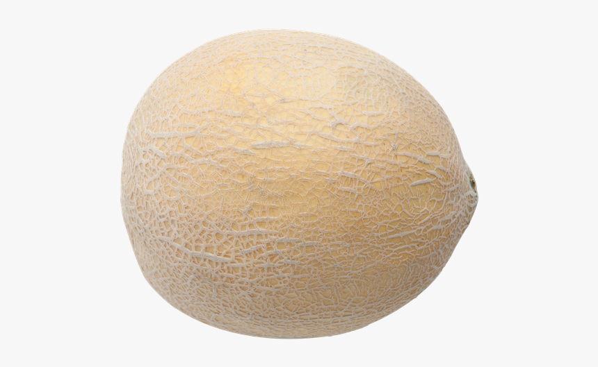 Cantaloupe Transparent, HD Png Download, Free Download