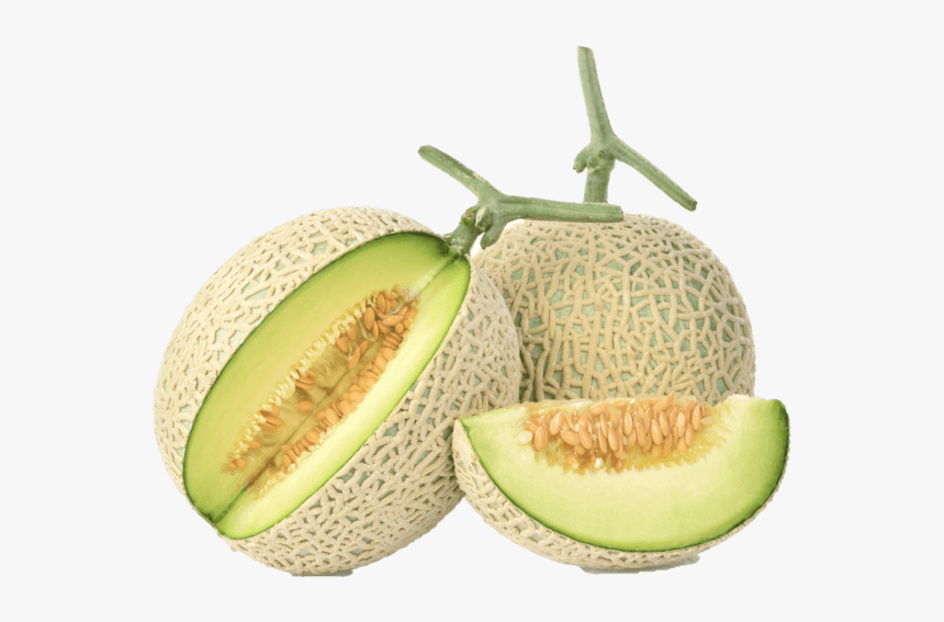 Honeydew, HD Png Download, Free Download