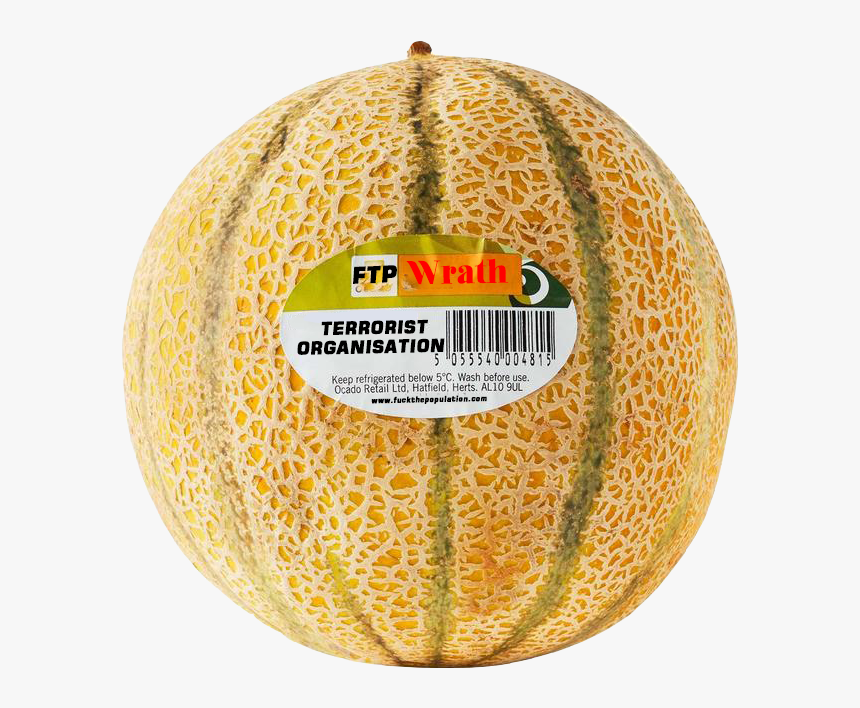 Cantaloupe Melon, HD Png Download, Free Download