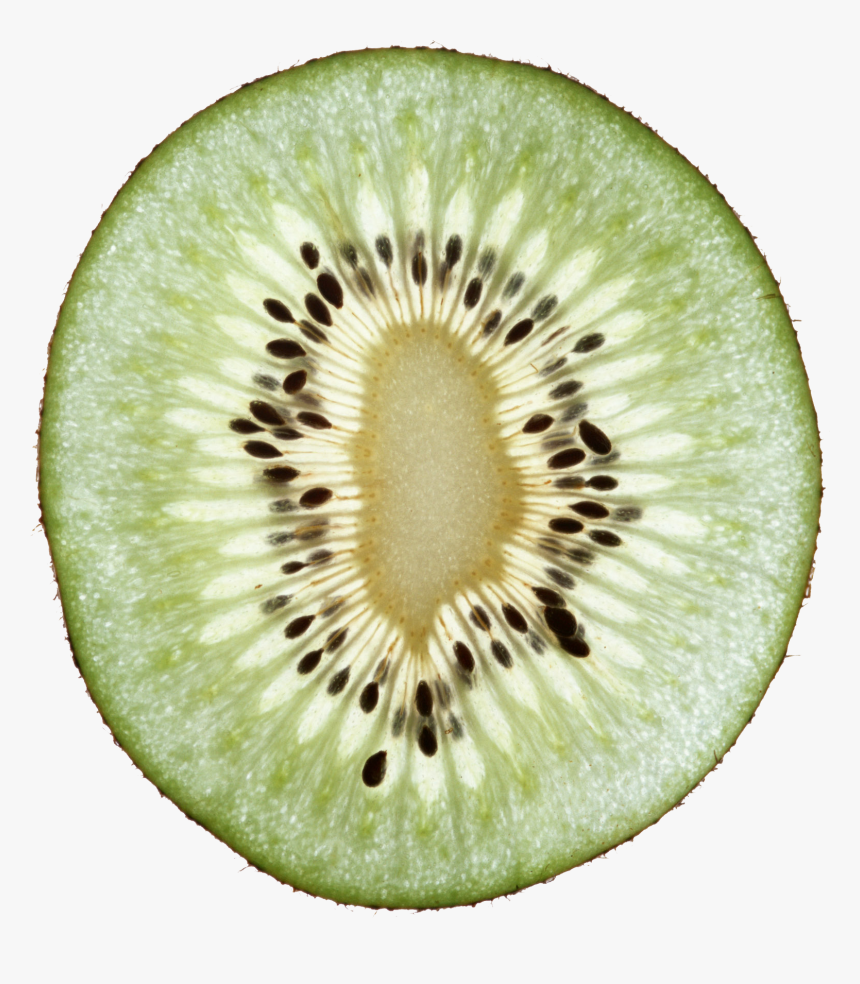 Kiwi Png, Transparent Png, Free Download