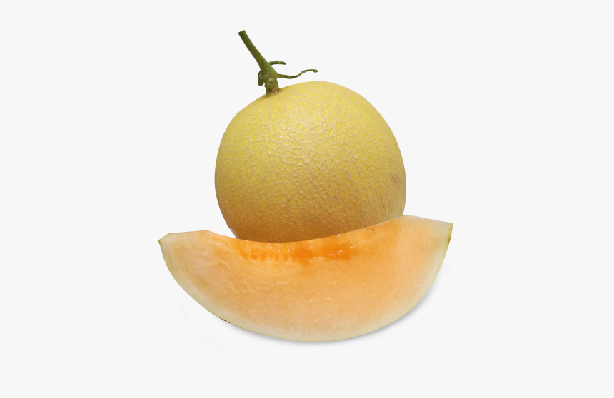 Permai 5 Melon, HD Png Download, Free Download