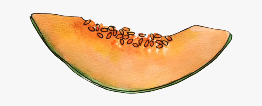 Cantaloupe June2018 Lyndsay - Honeydew, HD Png Download, Free Download