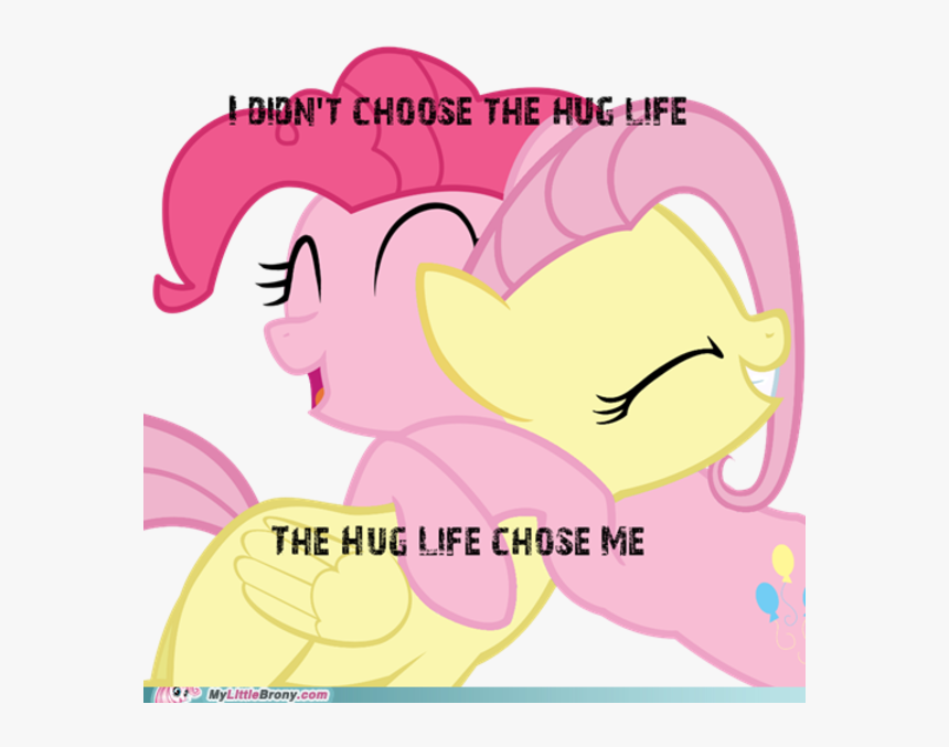 Dion"t Choose The Hug Life The Hug Life Chose Me Mylittle - Rainbow Dash And Fluttershy, HD Png Download, Free Download