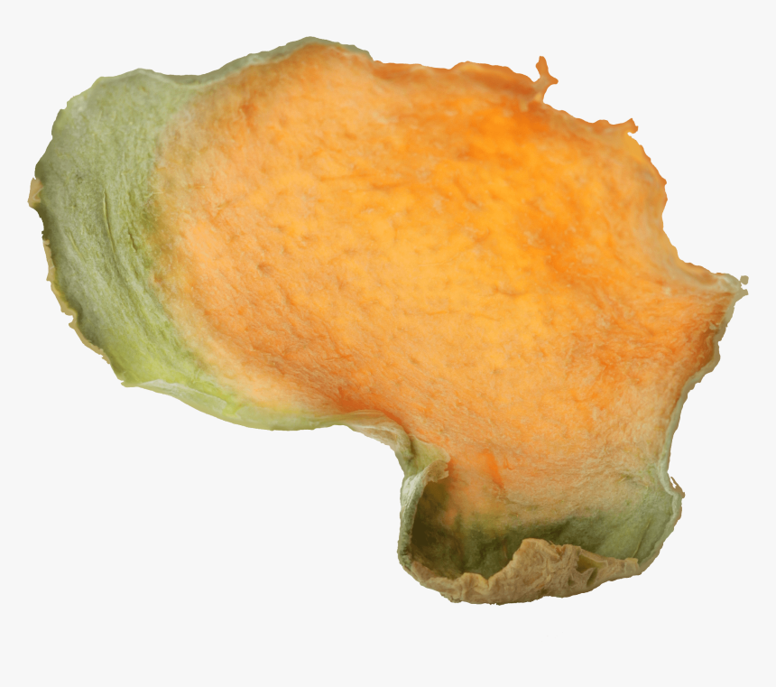 Cantaloupe Png, Transparent Png, Free Download