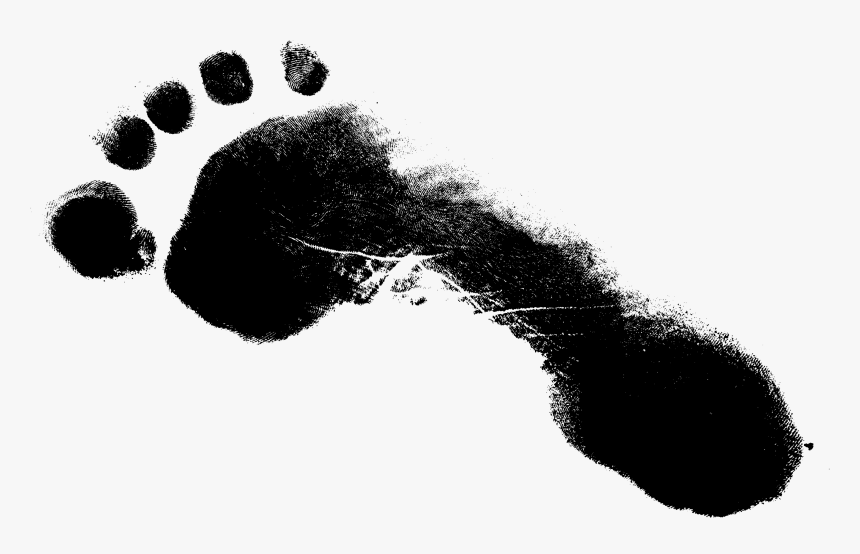 Footprint Png, Transparent Png, Free Download