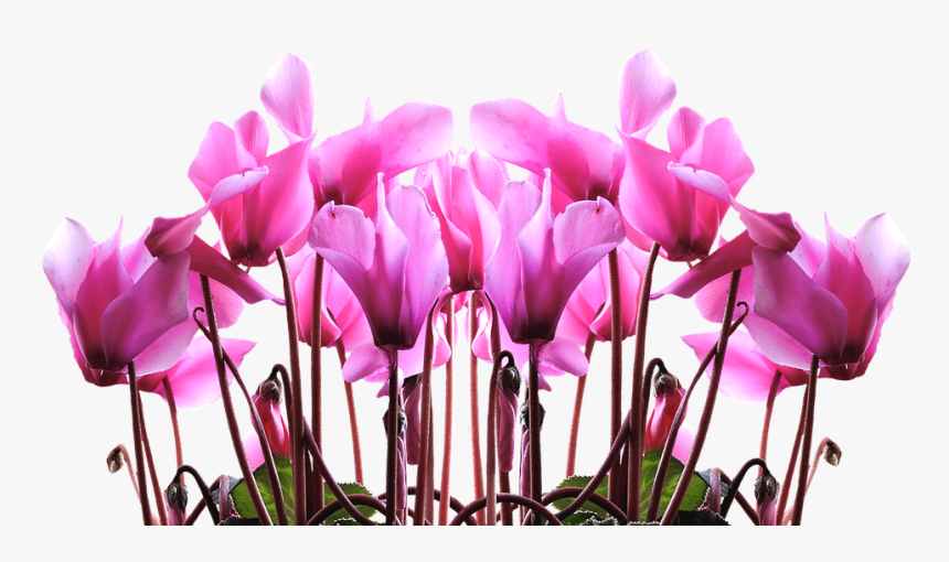 Tulip Stencil Free 25, - Quotes Happy Mothers Day 2018, HD Png Download, Free Download