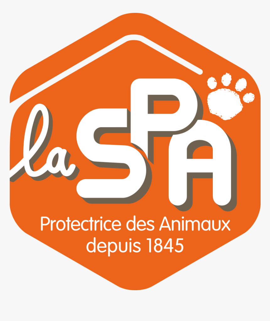 Vignette Pour La Version Du 18 Mai 2015 À - Maison De La Spa Nice, HD Png Download, Free Download