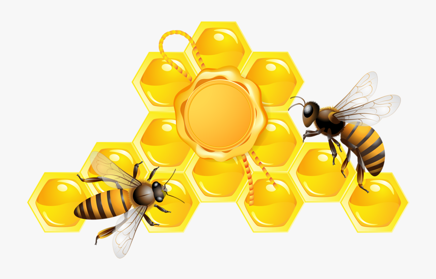 Transparent Working Bee Clipart - Honey Png, Png Download, Free Download