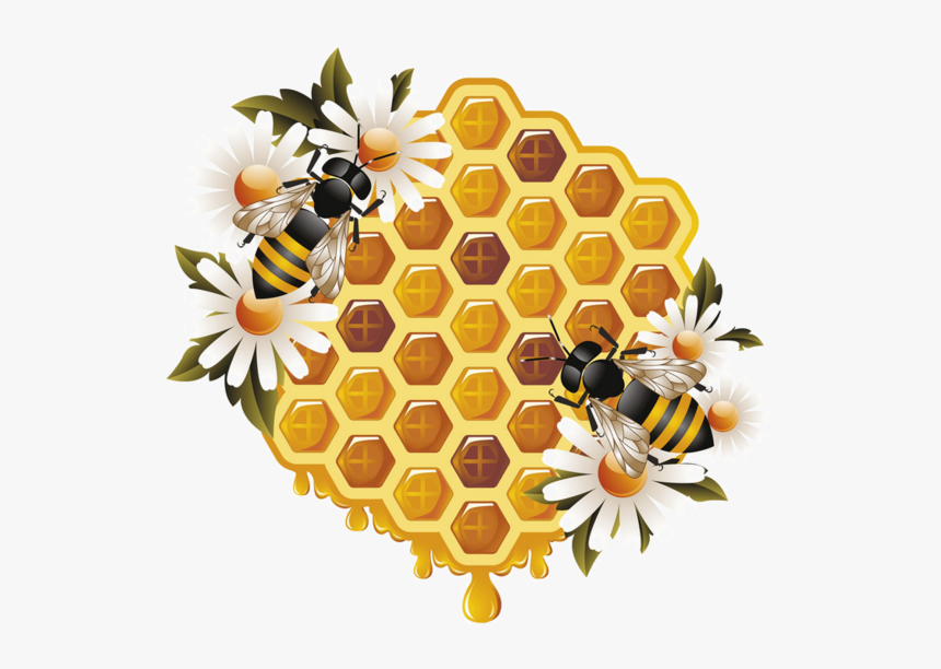 Honey Bees Clipart Eps Vector - Honey And Bee Png, Transparent Png, Free Download