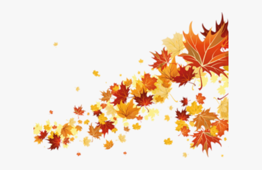 Autumn Png Transparent Images - Autumn Leaves Png, Png Download, Free Download