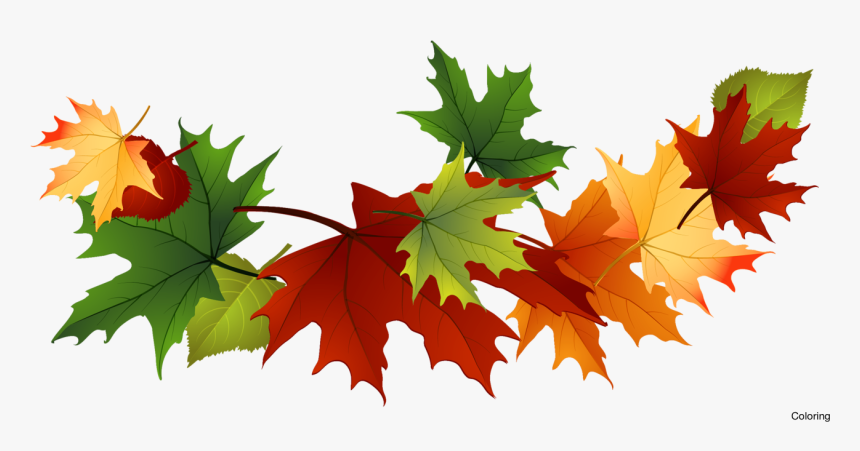 Transparent Fall Background Png - Fall Leaves Clipart Free, Png Download, Free Download
