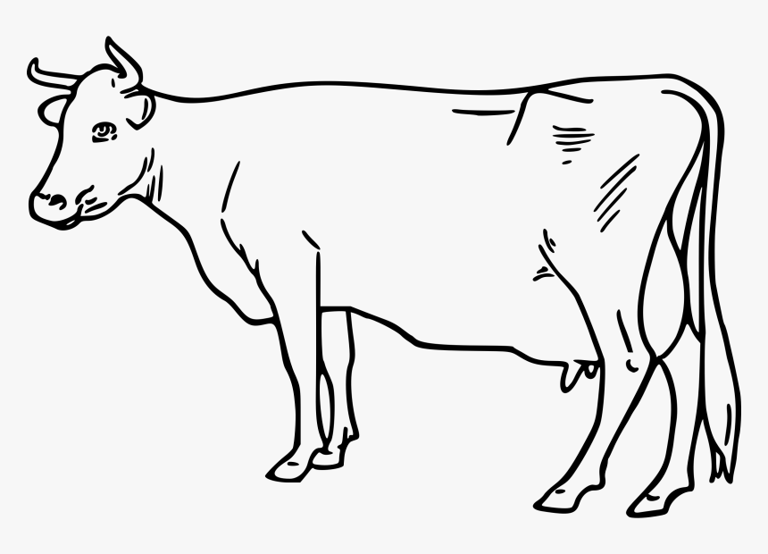 Cow 4 Clip Arts - Cow Picture Black And White, HD Png Download, Free Download