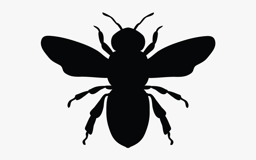 Honey Bee Vector Graphics European Dark Bee Illustration - Vector Bee Silhouette Svg, HD Png Download, Free Download